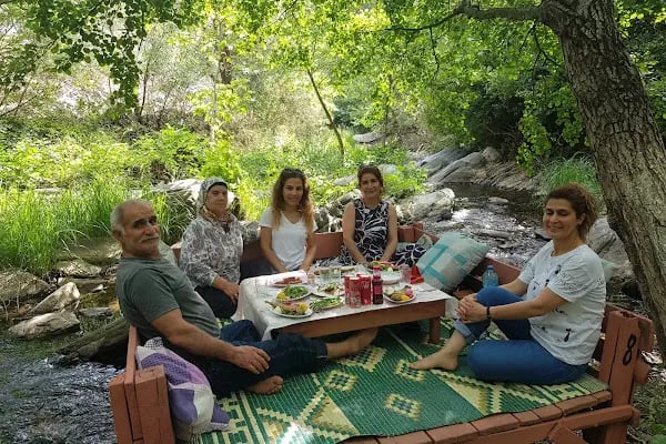 Dere Alabalık - Resim 4