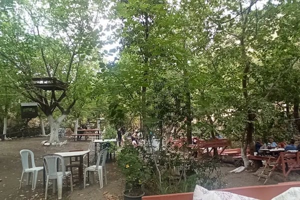 Dere Alabalık - Resim 1