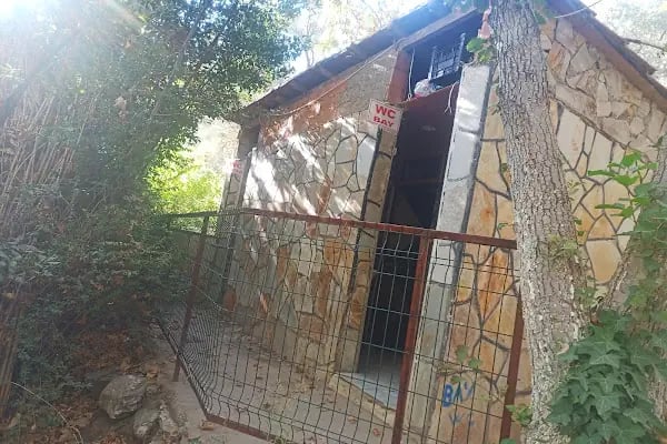 Dere Alabalık - Resim 17