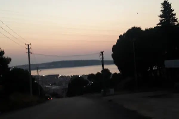 Aliağa Trafik Hatıra Ormanı - Resim 6