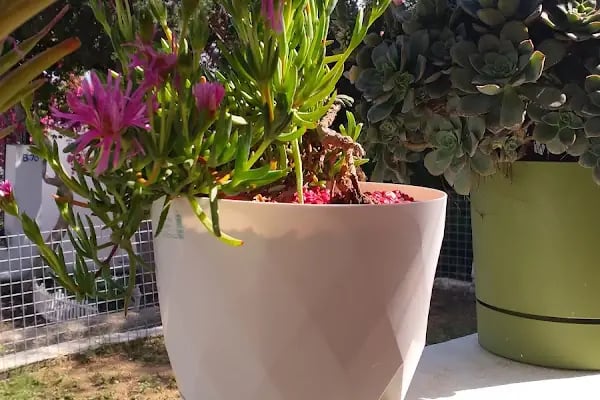 Kale Konut Sitesi - Resim 5