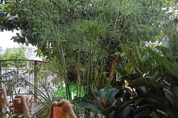 La Perla Fırın Cafe - Resim 5
