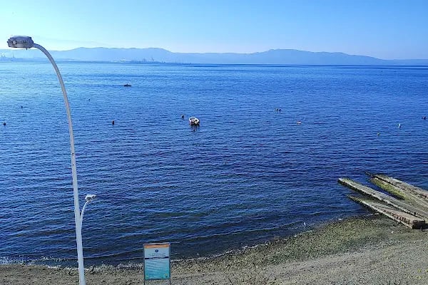 Düzlem Sitesi - Resim 2