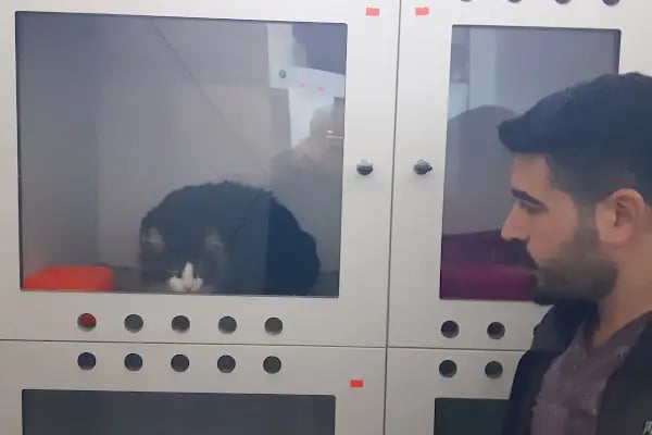 Gümüşpala Veteriner kliniği - Resim 13
