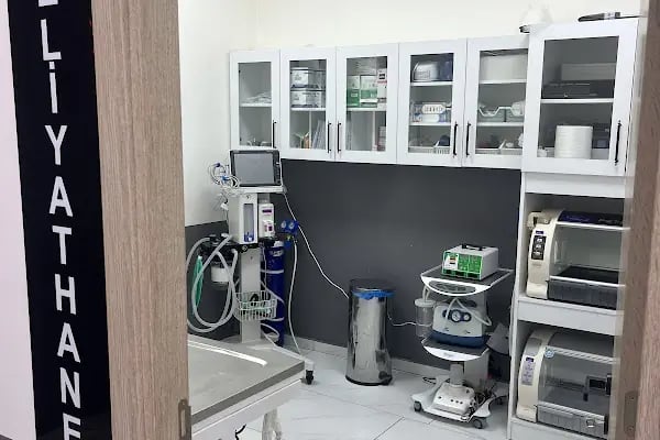 Gümüşpala Veteriner kliniği - Resim 4