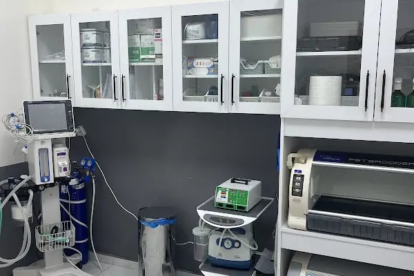 Gümüşpala Veteriner kliniği - Resim 6