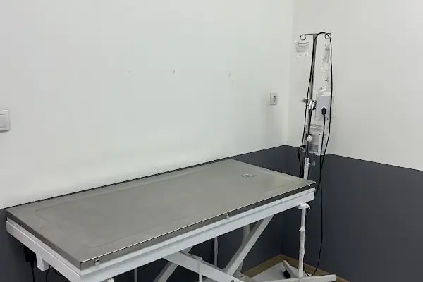 Gümüşpala Veteriner kliniği - Resim 2