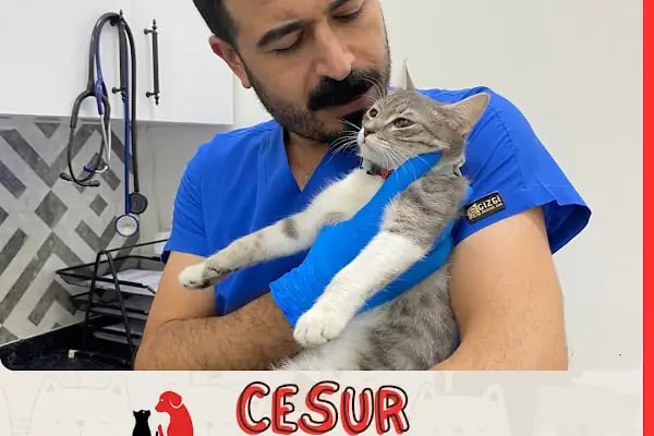 Gümüşpala Veteriner kliniği - Resim 18