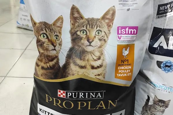 Favorim Petshop - Resim 3
