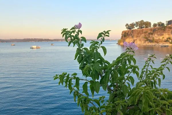Güney Marina - Resim 1