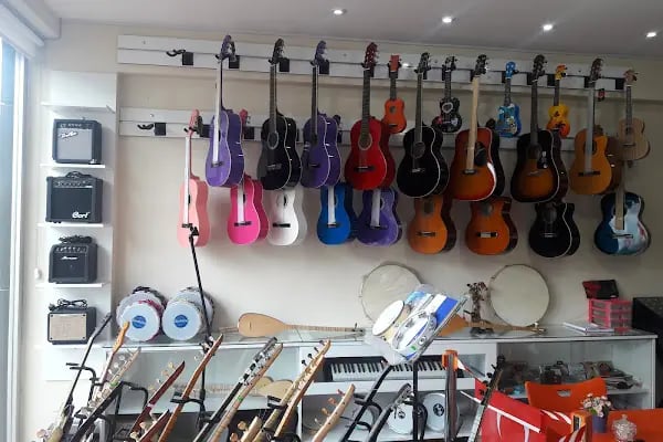 GÖL MÜZİK EVİ - Resim 17