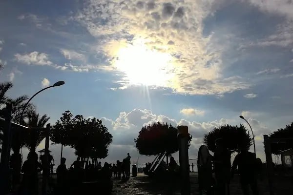 İmece Müzik Aletleri - Resim 16