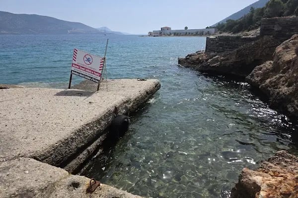 Nona Bodrum - Resim 12