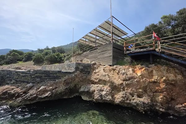 Nona Bodrum - Resim 18