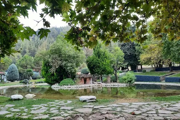 Çamlık Orman İçi Dinlenme Yeri - Resim 15