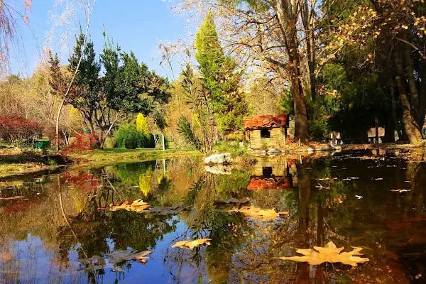 Çamlık Orman İçi Dinlenme Yeri - Resim 11