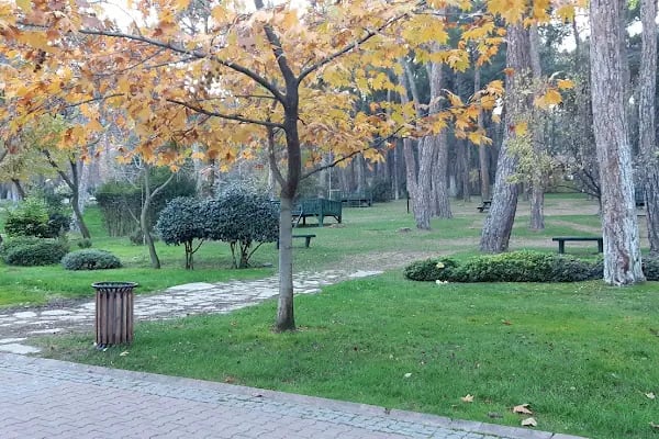 Çamlık Orman İçi Dinlenme Yeri - Resim 17