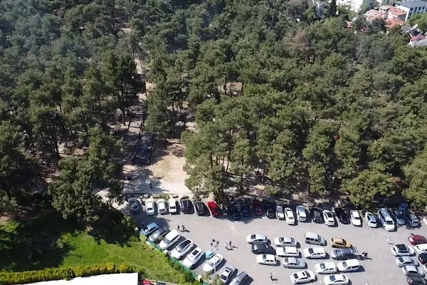 Çamlık Orman İçi Dinlenme Yeri - Resim 14