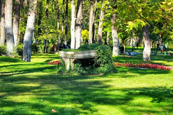 Çamlık Orman İçi Dinlenme Yeri - Resim 18