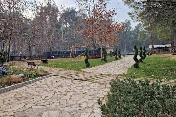 Çamlık Orman İçi Dinlenme Yeri - Resim 19