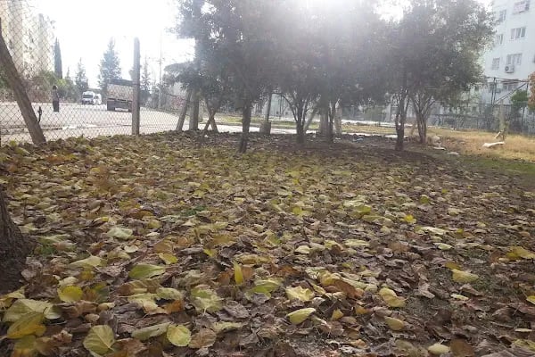 Hacı Bektaş Veli Parkı - Resim 20