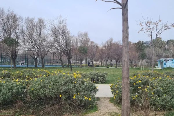 KÖŞK SAHNE AVCILAR - Resim 2