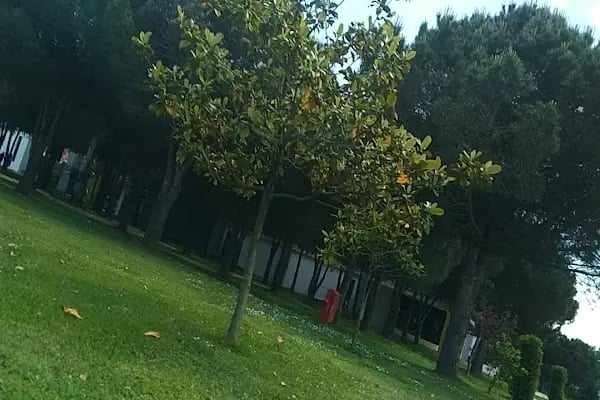 Samsun Sigara Fabrikasi - Resim 15