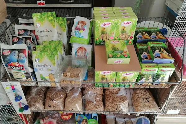 (CEYLAN PETSHOP) ANKARA KANARYA SEVDALILARI VE KAFES KUSLARI - Resim 2