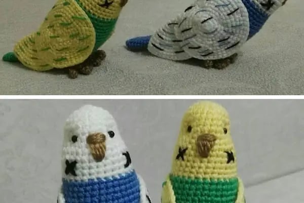 (CEYLAN PETSHOP) ANKARA KANARYA SEVDALILARI VE KAFES KUSLARI - Resim 20
