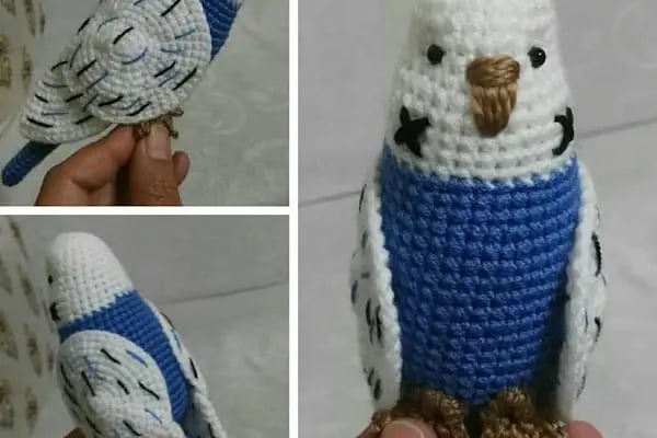 (CEYLAN PETSHOP) ANKARA KANARYA SEVDALILARI VE KAFES KUSLARI - Resim 11