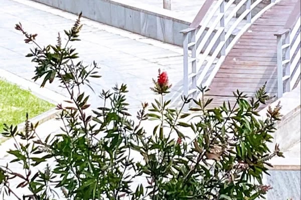Ataşehir Belediyesi Fesleğen Parkı - Resim 4