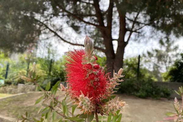 Ataşehir Belediyesi Fesleğen Parkı - Resim 5