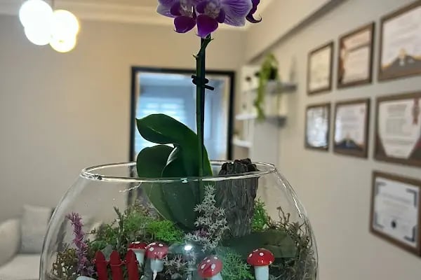 Bursa Lotus Psikoloji Aile Danışmanlığı - Resim 5