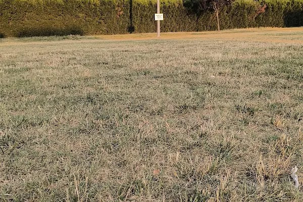 Sakarya Tenis Kulübü - Resim 16