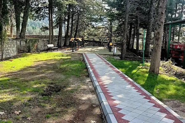 Pos Orman İşletme Müdürlüğü - Resim 12