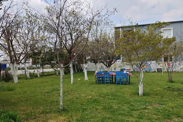 Harman Yeri Karadeniz Kahvaltı Salonu - Resim 11