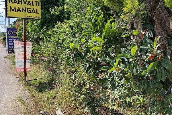 Harman Yeri Karadeniz Kahvaltı Salonu - Resim 13