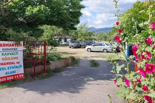 Harman Yeri Karadeniz Kahvaltı Salonu - Resim 14