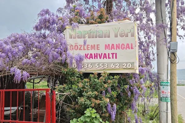 Harman Yeri Karadeniz Kahvaltı Salonu - Resim 16
