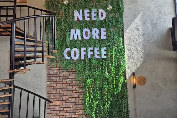 Greenbox Coffee - Resim 16