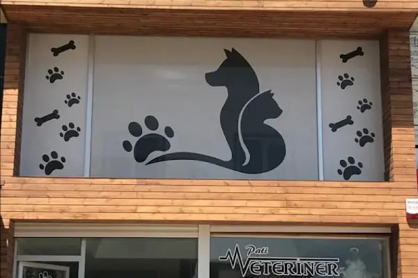 Pati Veteriner Kliniği İbrahimli - Resim 16
