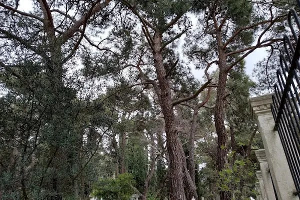 Kangelaris Ailesi Anıt Mezarı - Süslü Mezar - Resim 19