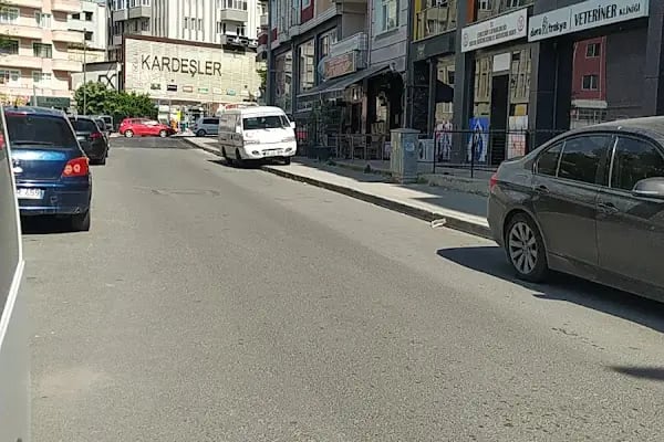 Sosyal Yardımlaşma Ve Dayanışma Vakfı - Resim 5