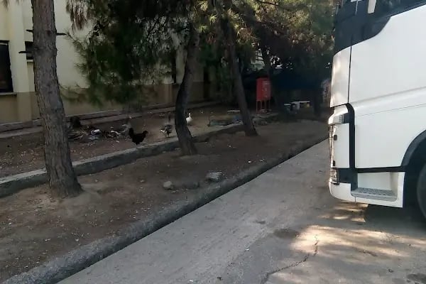 BURSA TASFİYE İŞLETME MÜDÜRLÜĞÜ - Resim 10