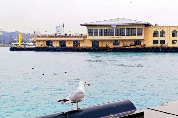 Kadıköy - Resim 19
