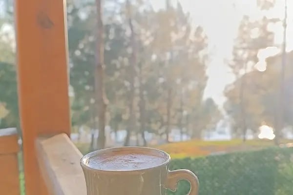 Bozova Çatak Bungalov Evleri - Resim 9