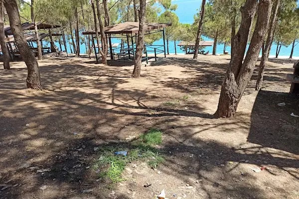 Bozova Çatak Bungalov Evleri - Resim 3