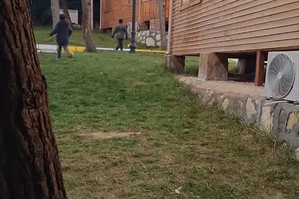 Bozova Çatak Bungalov Evleri - Resim 8