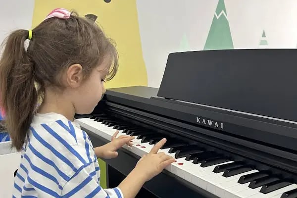 Bahçeşehir Melodi Sanat Akademisi &amp; Avcılar Müzik Okulları &amp; Gitar Kursu &amp; Bateri Kursu &amp; Keman Kursu &amp; Yan Flüt Kursu - Resim 2