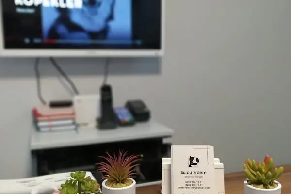 Costa Veteriner Kliniği - Resim 12